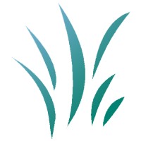Nexecon